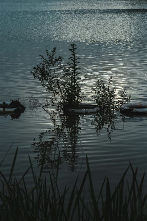 Growth Spurt 4 Months Photos, Download The BEST Free Growth Spurt 4 ...