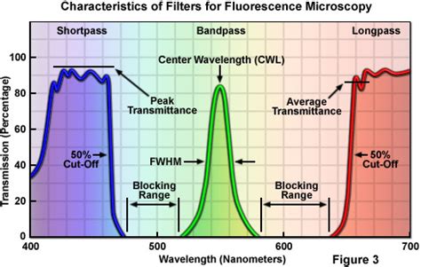 Fluorescence Wavelength Range 的图像结果