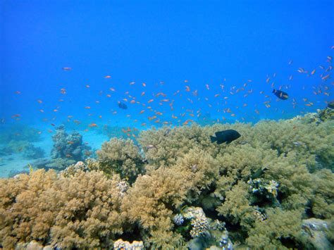 Environment 的图像结果