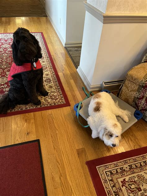 DeMoney-Grimes Funeral Home | Columbia City IN