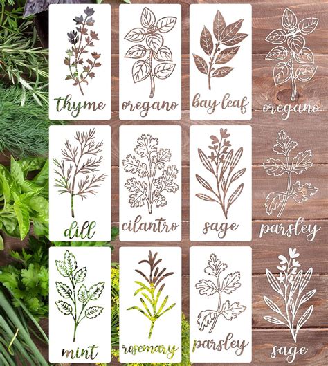 Buy Herb Stencils for Painting Kitchen Stencil Farmhouse Plant Herbs ...