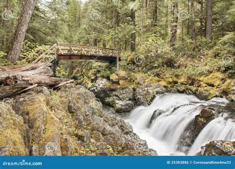 Opal Creek Oregon Hiking stock photo. Image of clean - 25383886