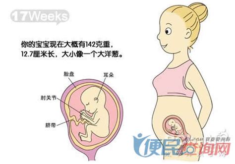 怀孕第17周准妈妈保健需知 - 怀孕第17周天胎儿发育图 - 怀孕第17周要吃什么 - 怀孕第17周注意什么 - 怀孕第17周介绍