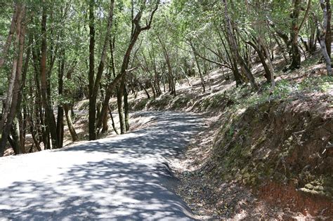 Measure H Sales Tax Funded Projects - Northern Sonoma County Fire ...