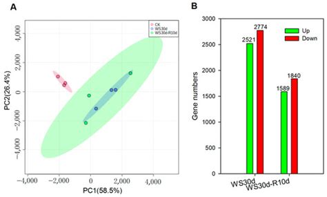 Transcriptomic, Physiological, and Metabolomic Response of an Alpine ...