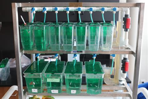 Applied Science Experiments 的图像结果