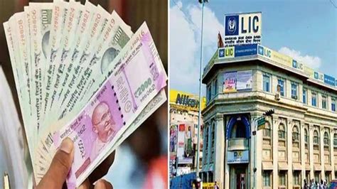 LIC Scheme You can invest in THIS policy to get Rs 20,000 every month ...