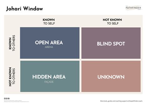 Johari Window Examples
