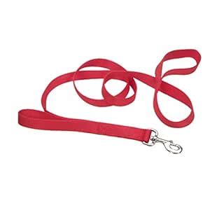 Loops 2 Double Handle Nylon Leash, 1" x 6' : Amazon.in: Pet Supplies