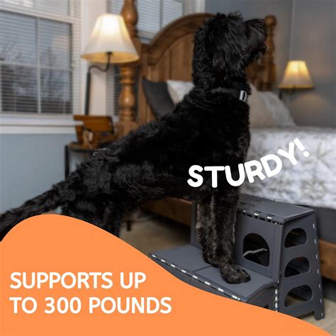 BeeNeat Bee Neat 2 Step Folding Dog Stairs & Ramp for Your India | Ubuy
