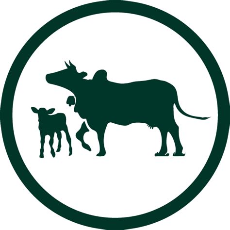 Desi Cow SMART Milk – Humpy Farms