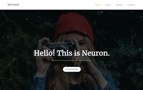 Image result for Simple Blog CSS