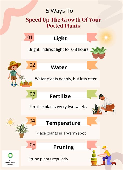 What Color Helps Plants Grow Faster at Skye Clarey blog