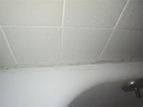 Recaulk Bathtub edge with wall : r/Plumbing