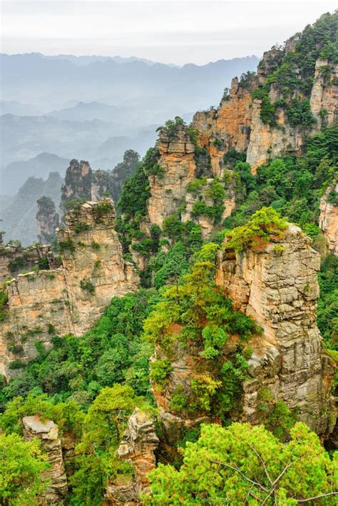 Avatar China 的图像结果