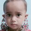 tell about it in Punjabi - Brainly.in