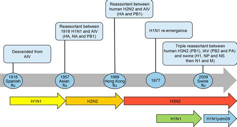 Frontiers | Pandemics Throughout History