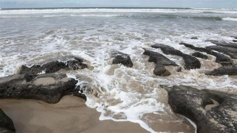 Image result for Fast-Rising Tide