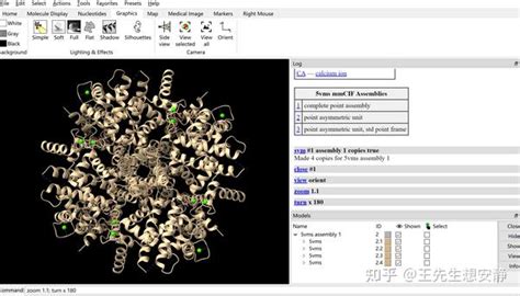 Chimerax SYM Function 的图像结果