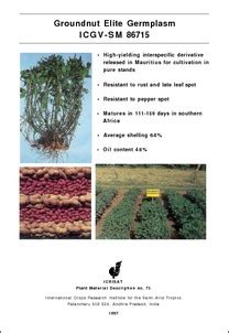 Groundnut Elite Germplasm ICGV-SM 86715 - OAR@ICRISAT