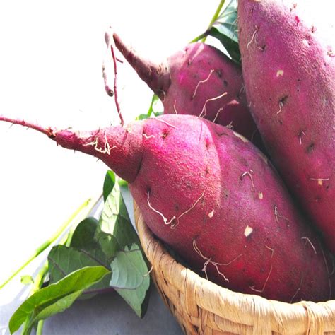 39 Types of Sweet Potatoes | A to Z | Photos - Butter N Thyme