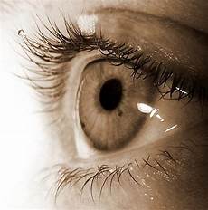 mosche volanti cure miodesopsie mosche volanti cause diagnosi e cure mosche volanti cure miodesopsie mosche volanti cause diagnosi e cure