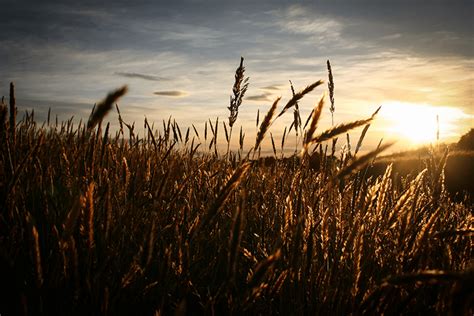 Kinnard Funeral & Cremation Services | Algoma WI funeral home and cremation