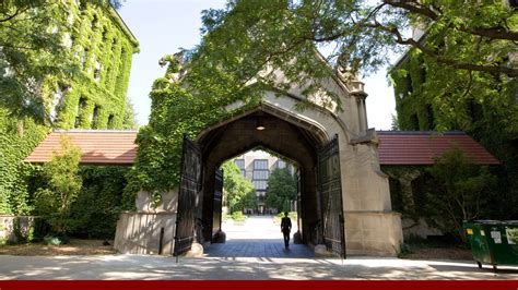 Zoom Backgrounds | UChicago Online