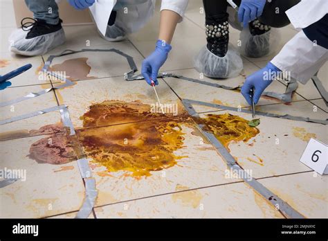 Forensic Science 的图像结果