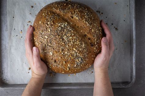 Sprouted Wheat Flour Bread Recipe | Bryont Blog