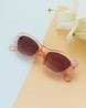Buy Brown Sunglasses for Women by Ted Smith Online | Ajio.com