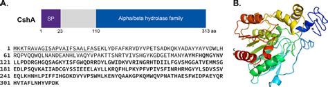 Image result for How to Add Using Excel Formula
