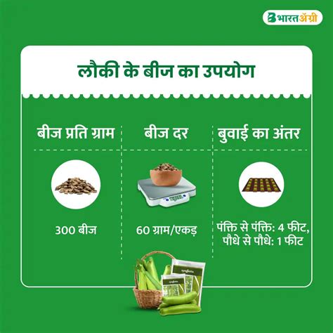 Syngenta Vinayak Bottle Guard Seeds (1+1 Combo) | Buy Now – BharatAgri ...