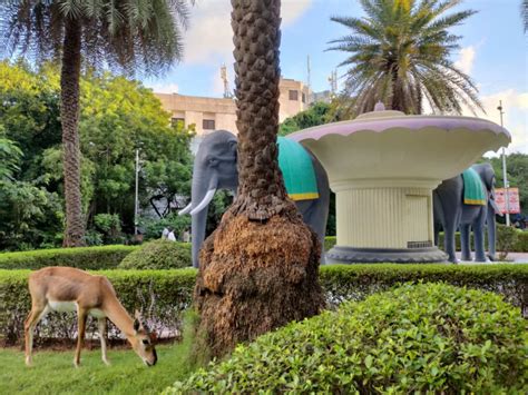 Top 7 IITs For Management Courses in 2024, Great NIRF Ranks