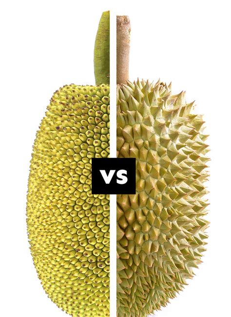 Durian Fruit Banned