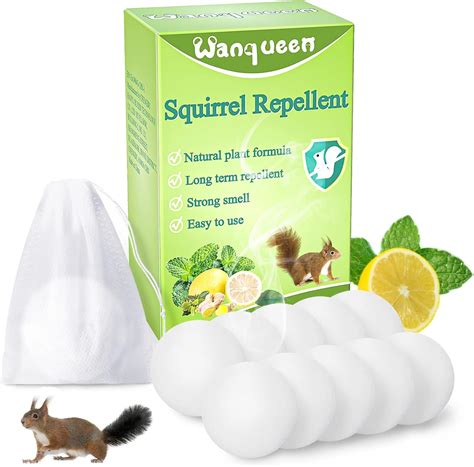 Amazon.com: 10 Pack Squirrel Repellent, Mouse Rodent Repellent for Car ...