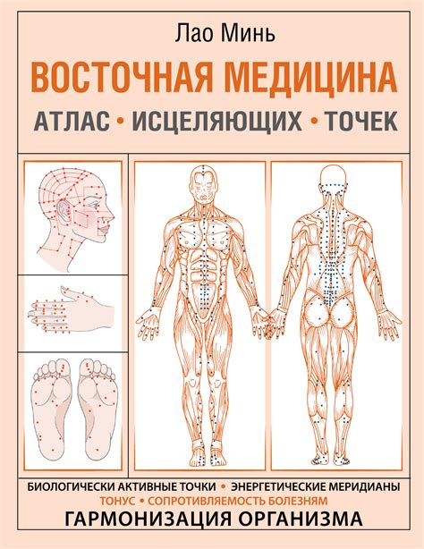 Большой атлас целительных точек. Китайская медицина на страже здоровья ...