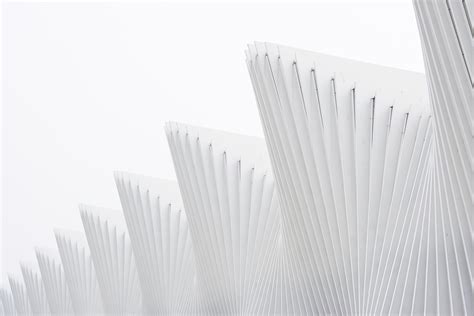 Image result for Images Vertically Inside HTML