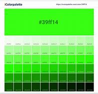 Image result for Bunny Color by Number Worksheet New