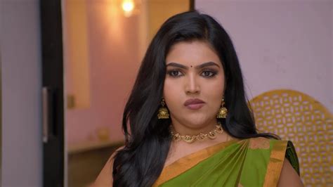 Ninaithale Inikkum TV Serial Online - Watch Tomorrow's Episode Before ...
