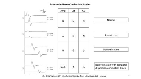 Interpretation of Nerve Conduction Study Findings | PDF