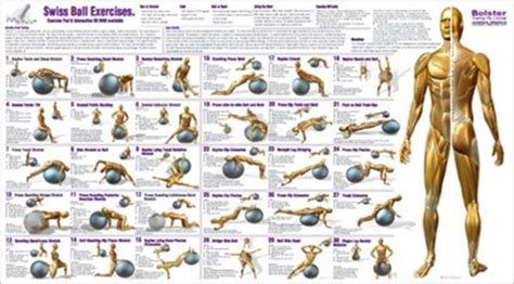 Image result for Using Balance Ball Exercises