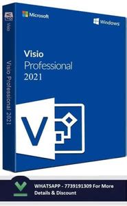 MICROSOFT Visio Professional 2021 (1 User, Lifetime Validity) License ...