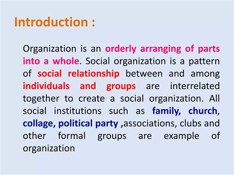 Social organization.pptx