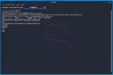 Try Hack Me File Inclusion 的图像结果