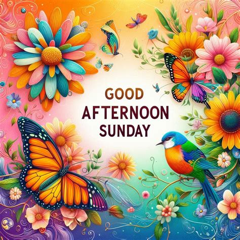 123+ Good Afternoon Sunday Images, Pictures, Photos & Pics