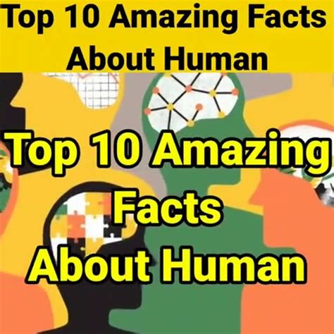 Weird Facts About Humans 17 Interesting Facts About Human Teeth