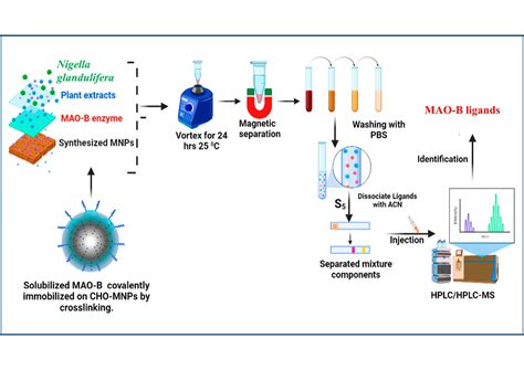 Screening of Monoamine Oxidase Inhibitors from Seeds of Nigella ...