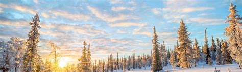 Top 10 Day tours in Inari [2026] - Book Now on Trip.com
