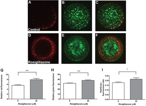 Image result for Measuring Fluorescence Intensity ImageJ